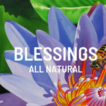 Blessings All Natural (Jamaica Wholesale) logo