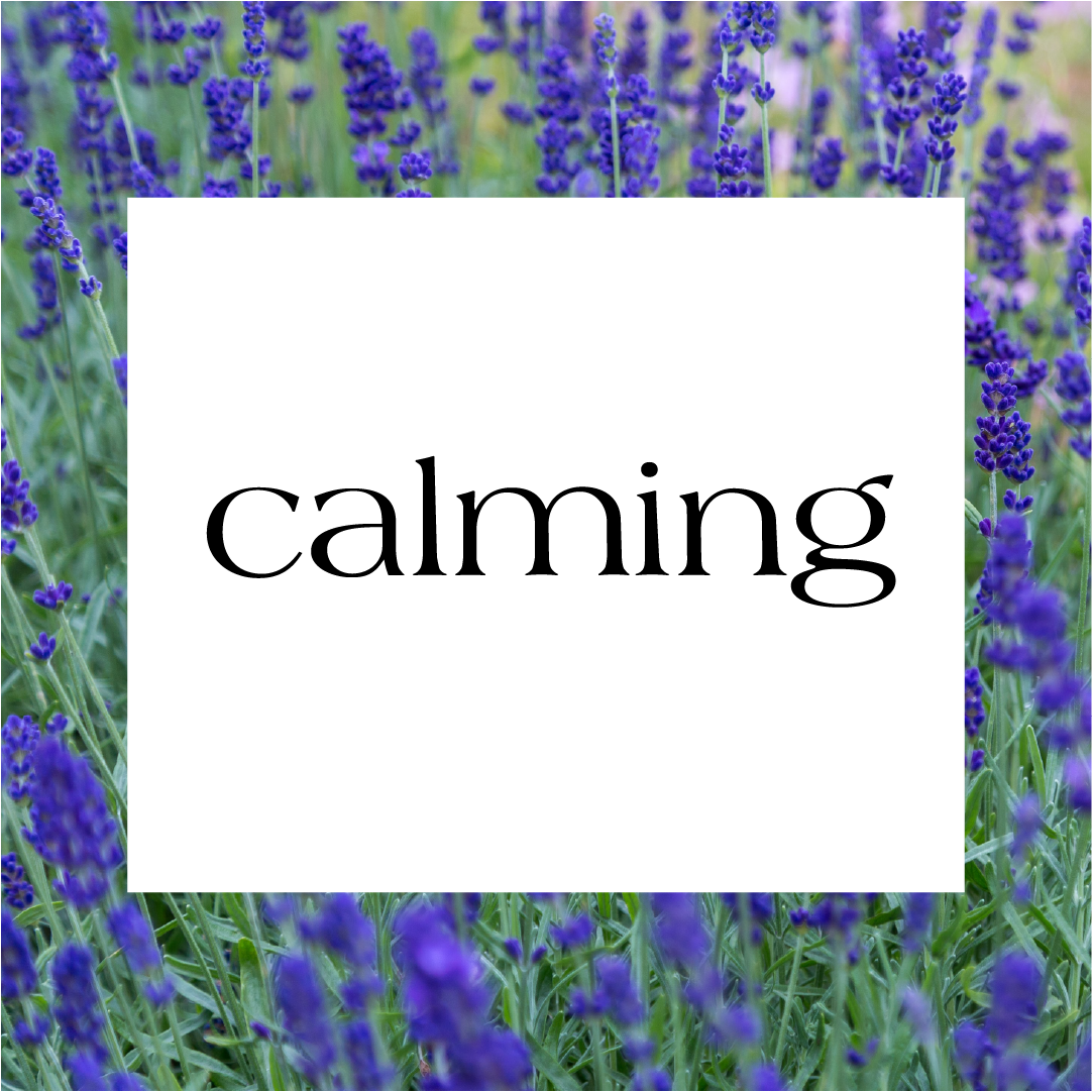 Calming – Blessings All Natural (Jamaica Wholesale)