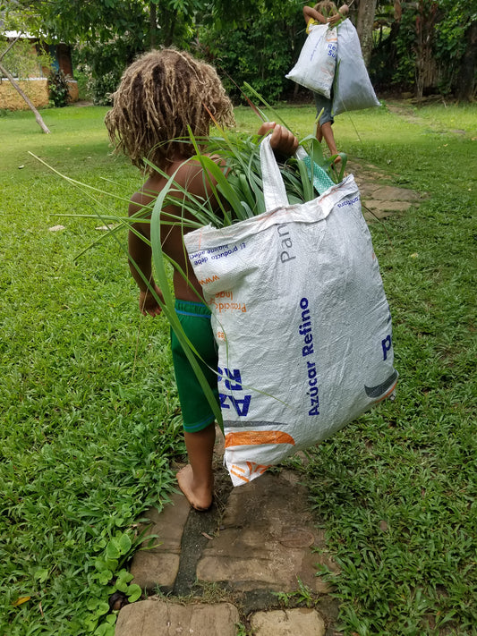 One Week Essential Oil Distillation Experience