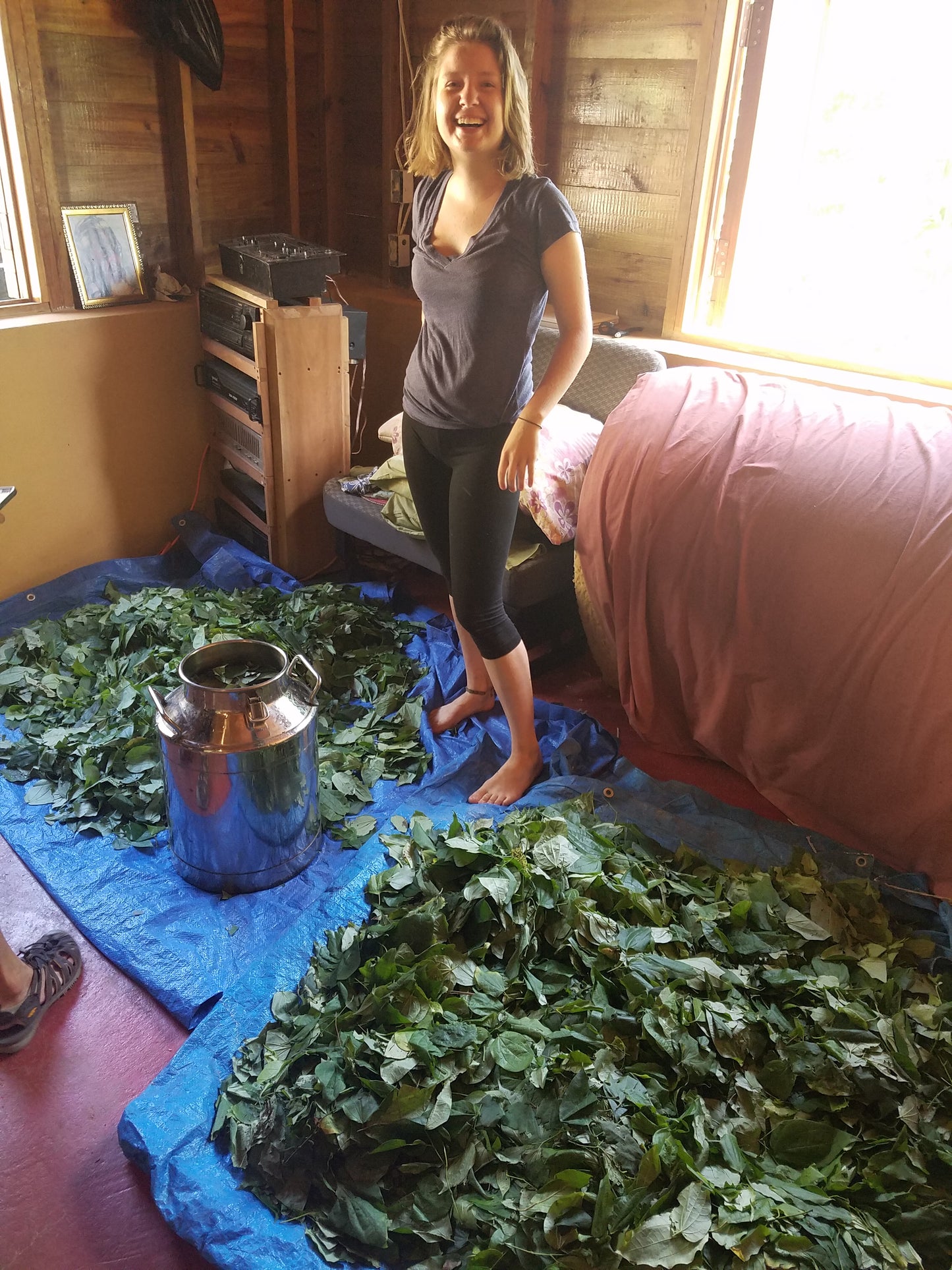 Month Long Essential Oil Distillation Internship