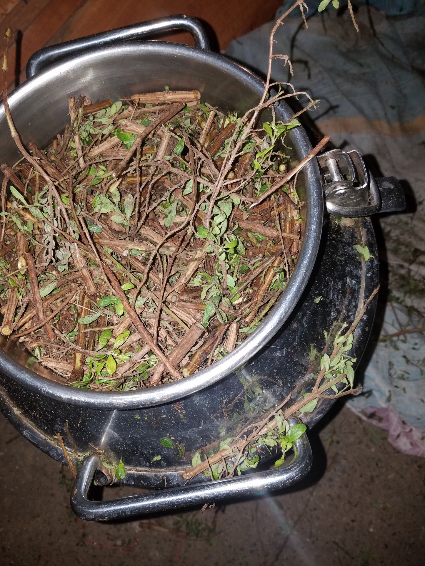 Month Long Essential Oil Distillation Internship