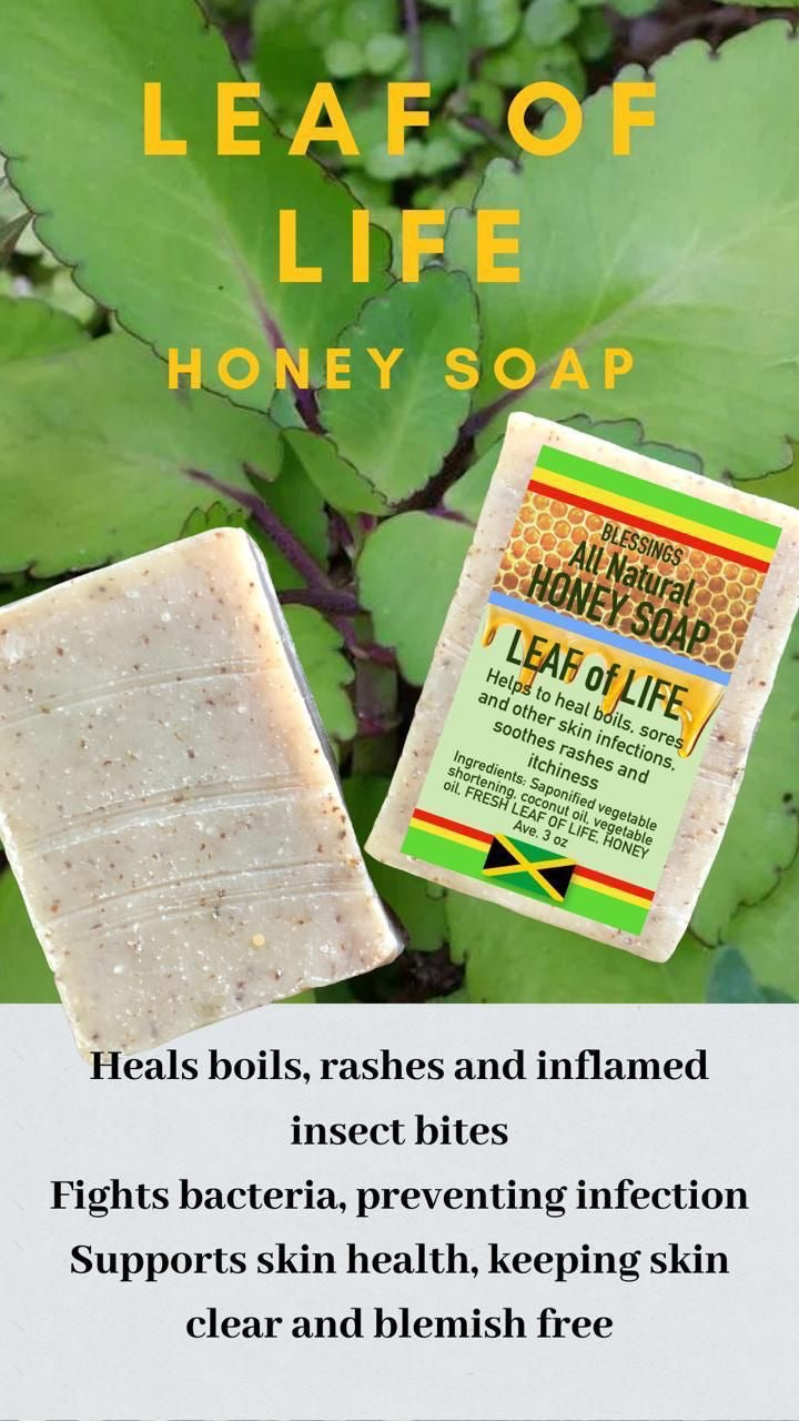 Honey Leaf of Life Soap
