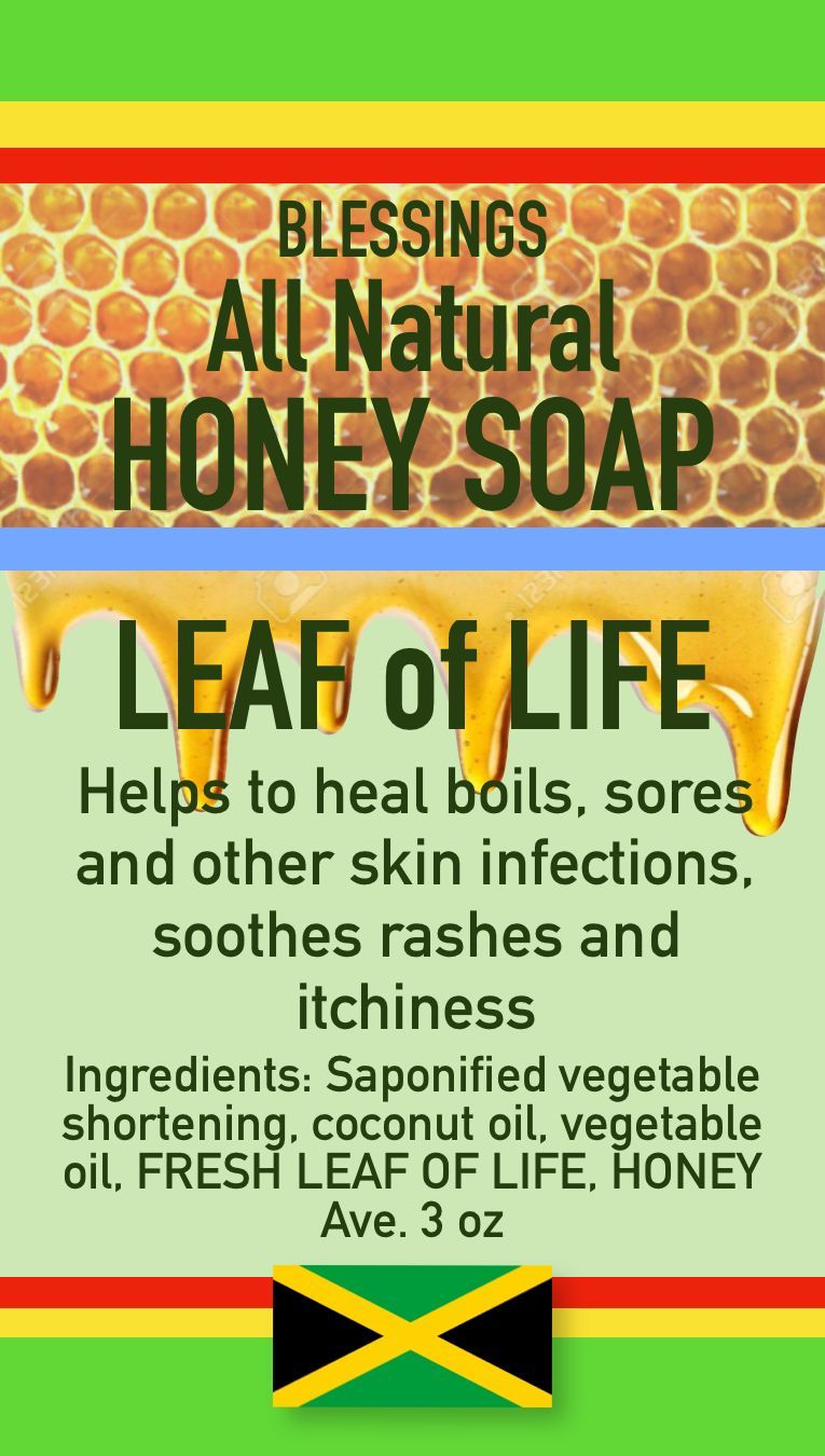 Honey Leaf of Life Soap